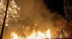 حركة القبائل تتهم نظام تبون بالوقوف وراء الحرائق وتطالب بتحقيق دولي